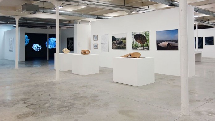 Biomorphisme A La Friche De La Belle De Mai Marseille