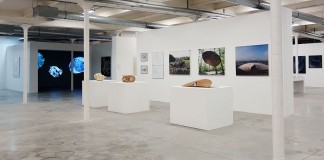 Biomorphisme - Approches sensibles et conceptuelles des formes du vivant à La Friche de la Belle de Mai